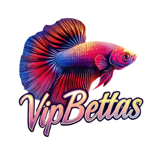 VIP BETTAS MIAMI